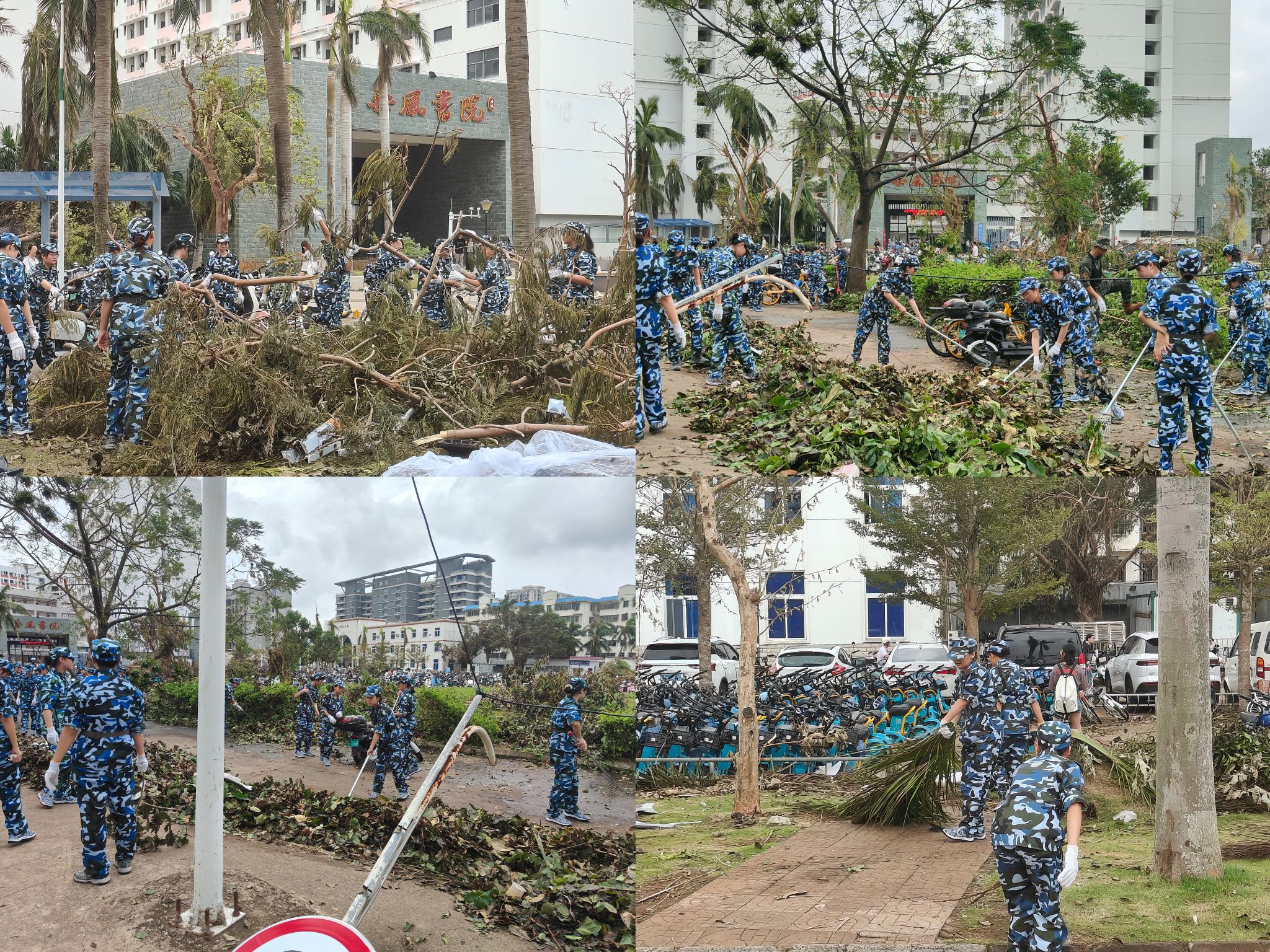 william威廉中文官网